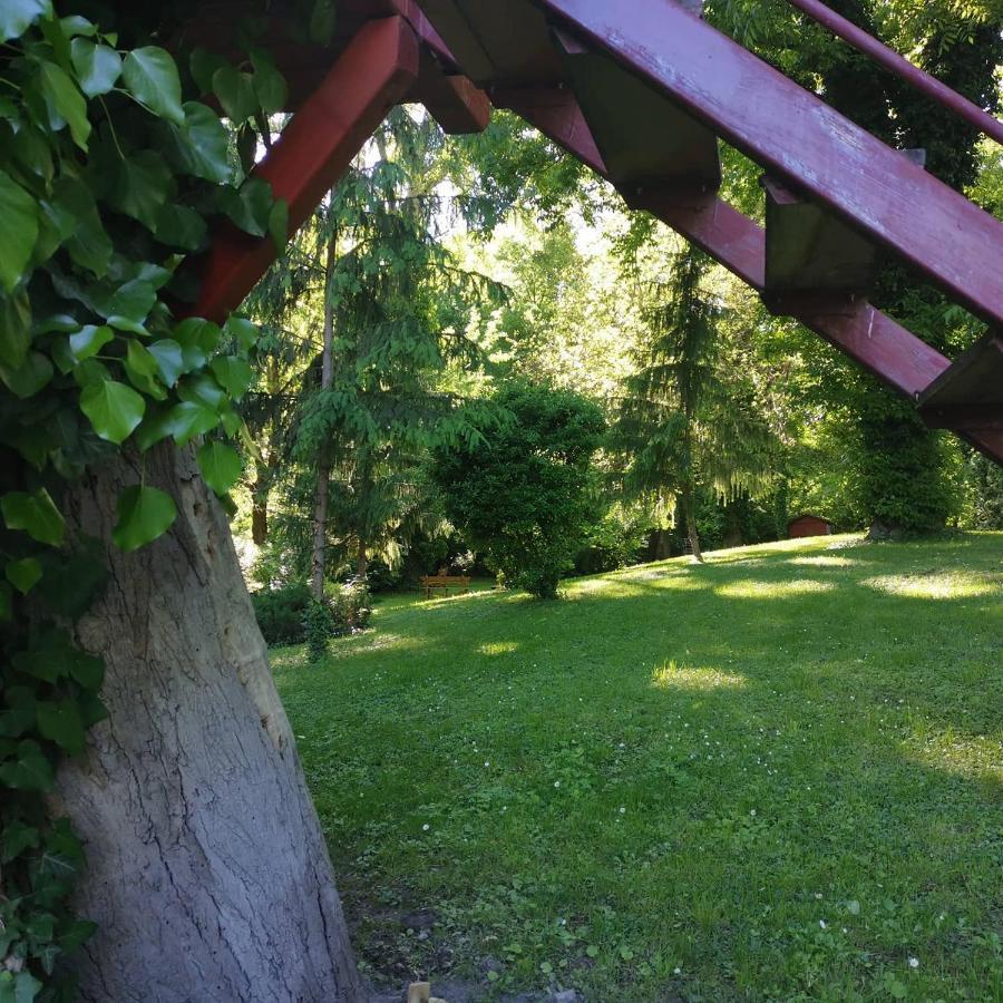 Campsite Park Hedervar